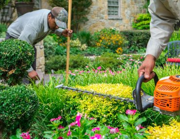 blog_featured_7 blog_featured_7