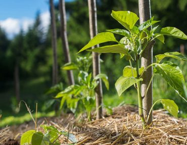 blog_featured_5 blog_featured_5